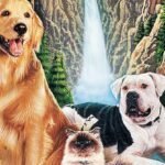 Rescue Animal Image