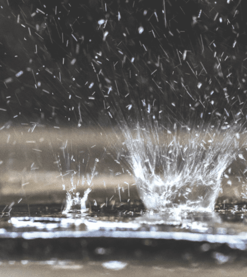 Harvesting Rainwater for a Better Future