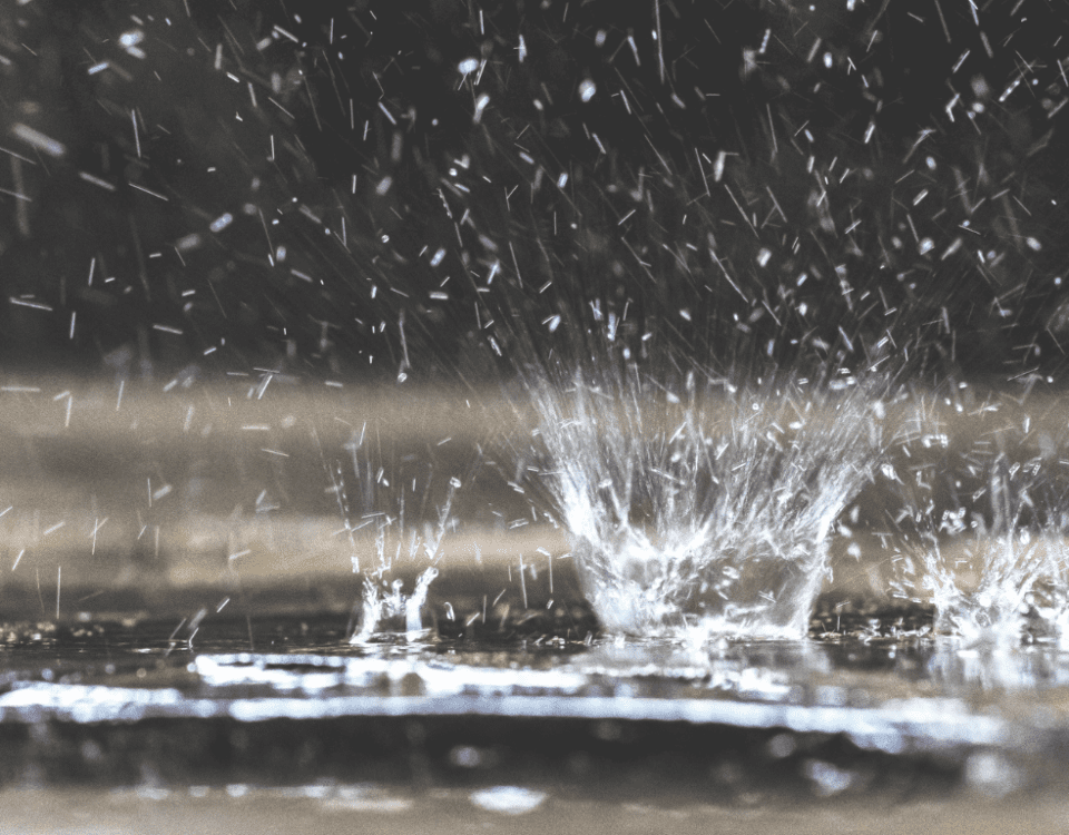 Harvesting Rainwater for a Better Future