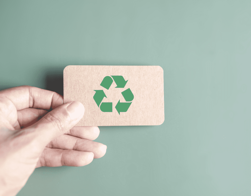 Greener Choices: Sustainable Brands