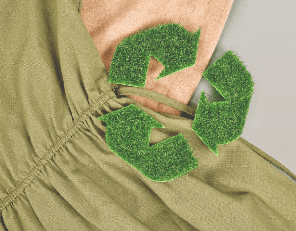 Sustainable Fashionista