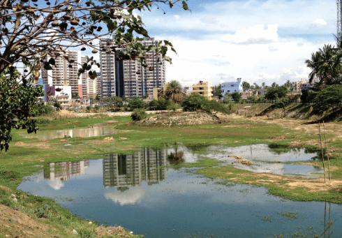 Biodiversity - Sustainable Future