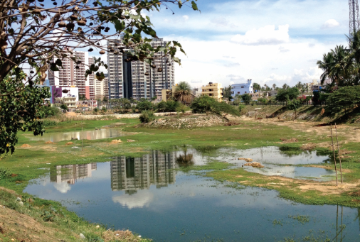 Biodiversity - Sustainable Future