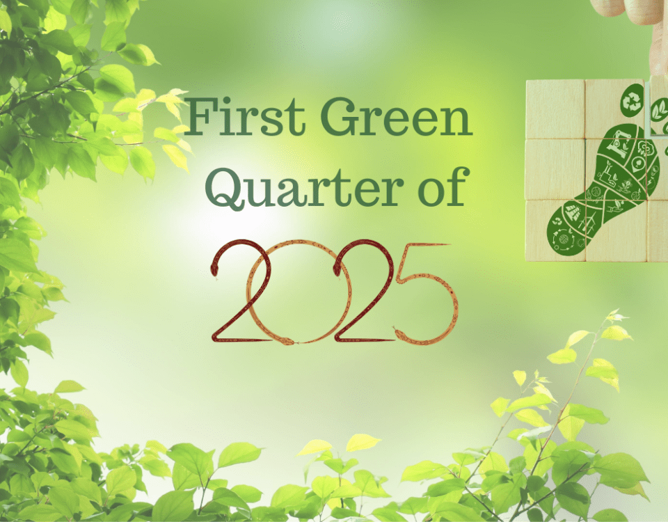 First Green Quarter of 2025 - GP Newsletter