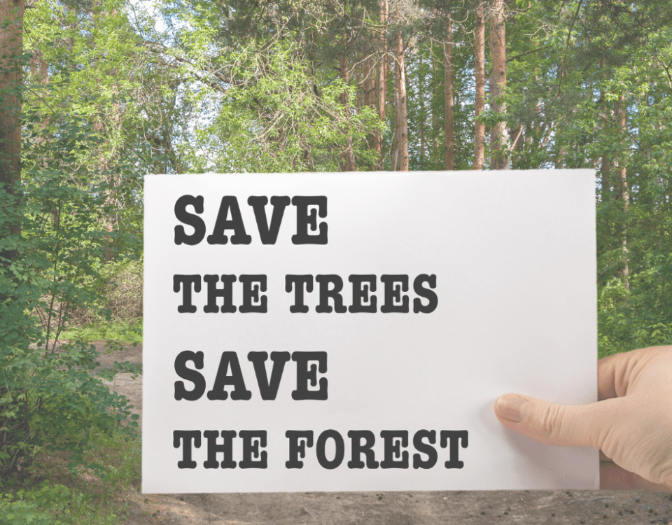 Save The Trees, Save The Forest