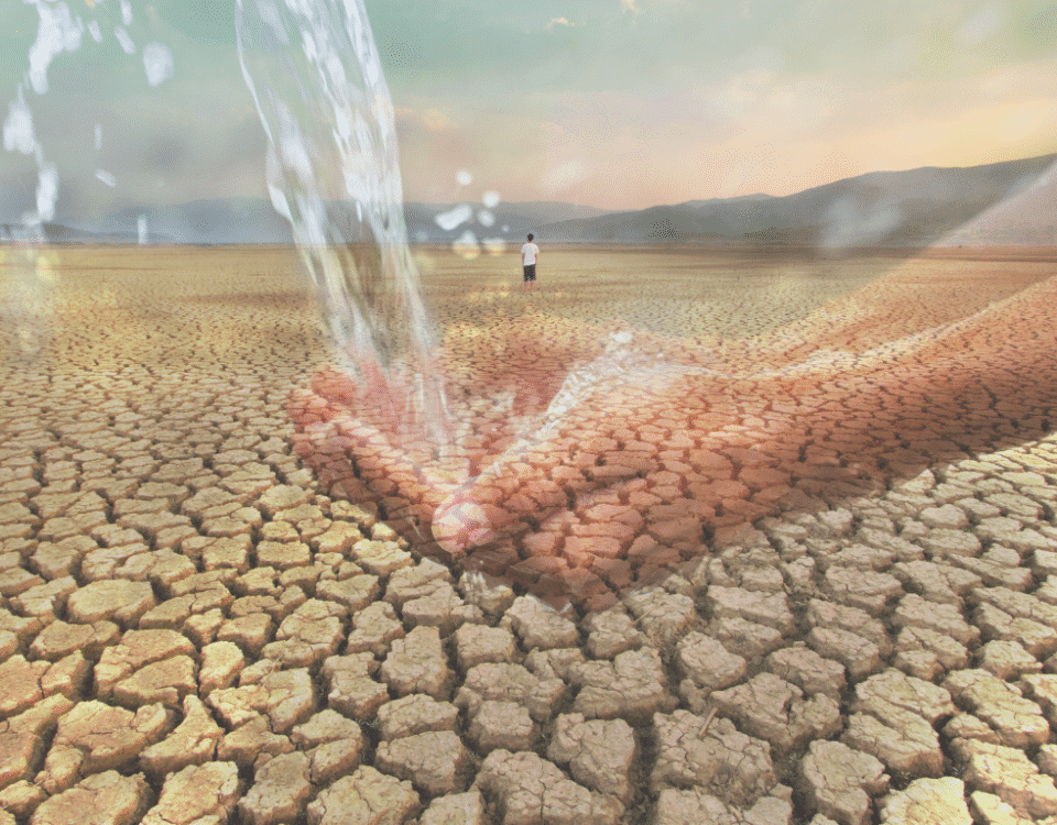 Bengaluru Water Crisis