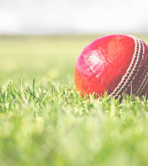 Dot Ball Initiative