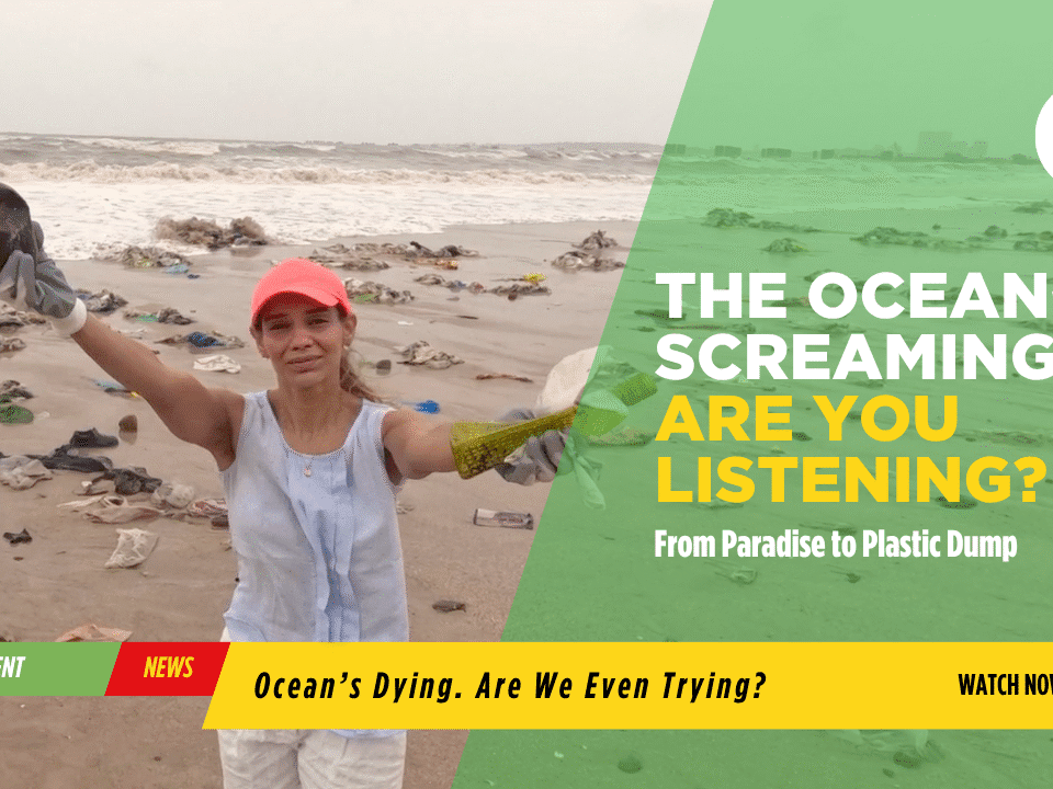Oceans Protection