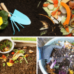 showcasing how we can compost using waste