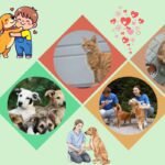 Strays in India