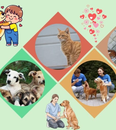 Strays in India