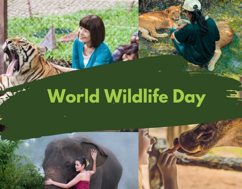 World Wildlife Day