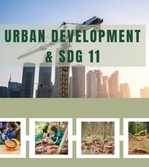 Urban Development