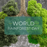 World Rainforest Day
