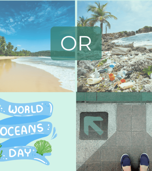 World Ocean's Day