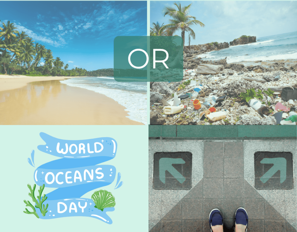 World Ocean's Day