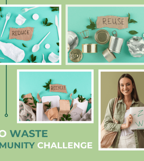 zero-waste community challenge