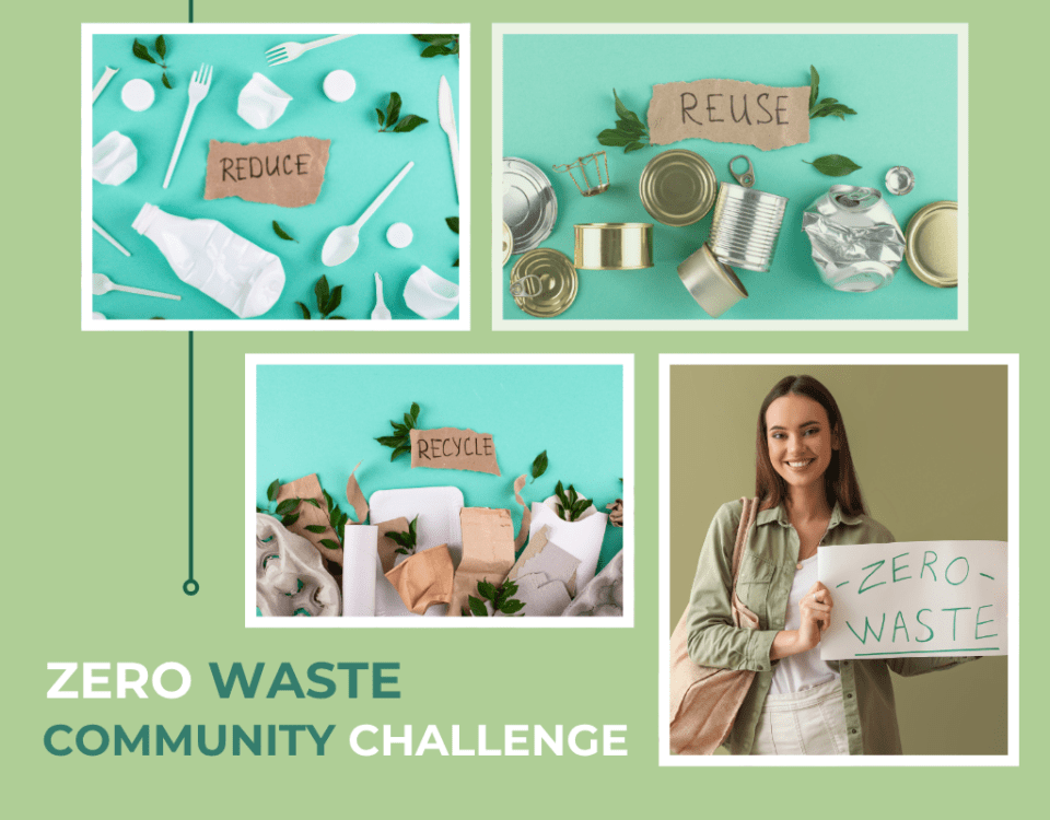 zero-waste community challenge