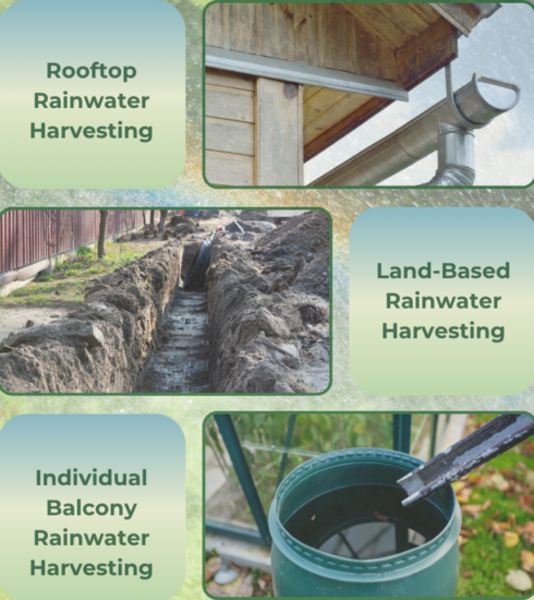 rainwater harvesting revisited