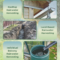 rainwater harvesting revisited