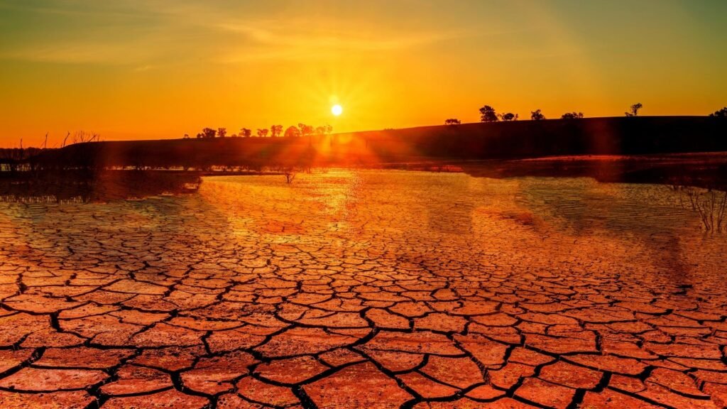 Effects of India Warming