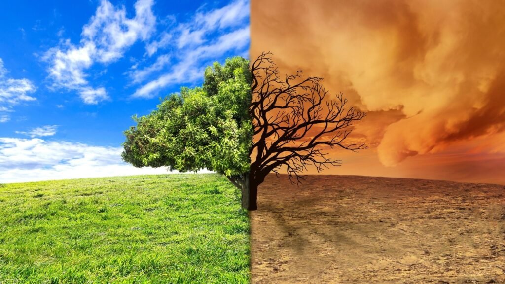 Climate Change