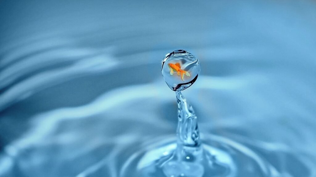 Water Drop enclosing a fish